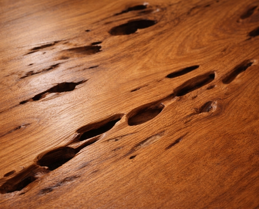 Untitled (877 x 707 px) (2)